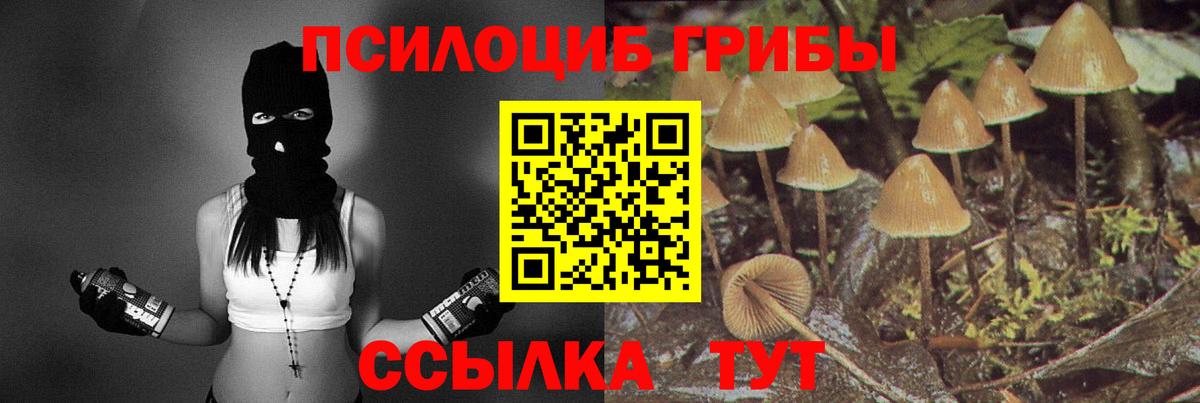 Псилоцибиновые грибы MAGIC MUSHROOMS Армавир