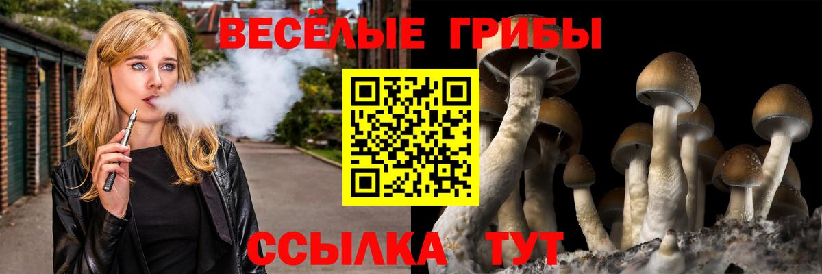 Армавир  Псилоцибиновые грибы Psilocybe  Псилоцибиновые грибы Magic Shrooms  Вход с VPN 